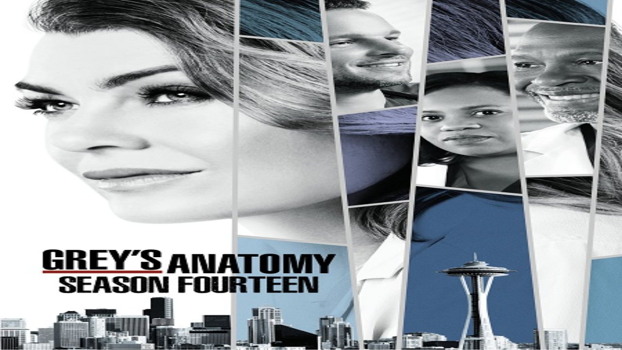 مسلسل Grey’s Anatomy الموسم الرابع عشر الحلقة 17 مترجمة كاملة HD